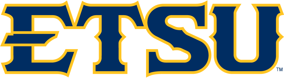 ETSU Buccaneers 2014-Pres Wordmark Logo v4 diy DTF decal sticker